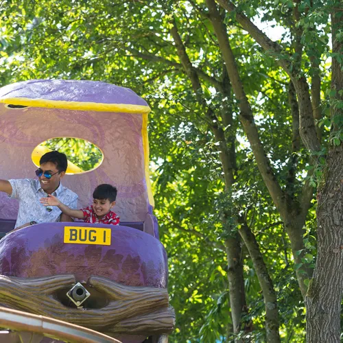 Get Set Go Tree Top Adventure